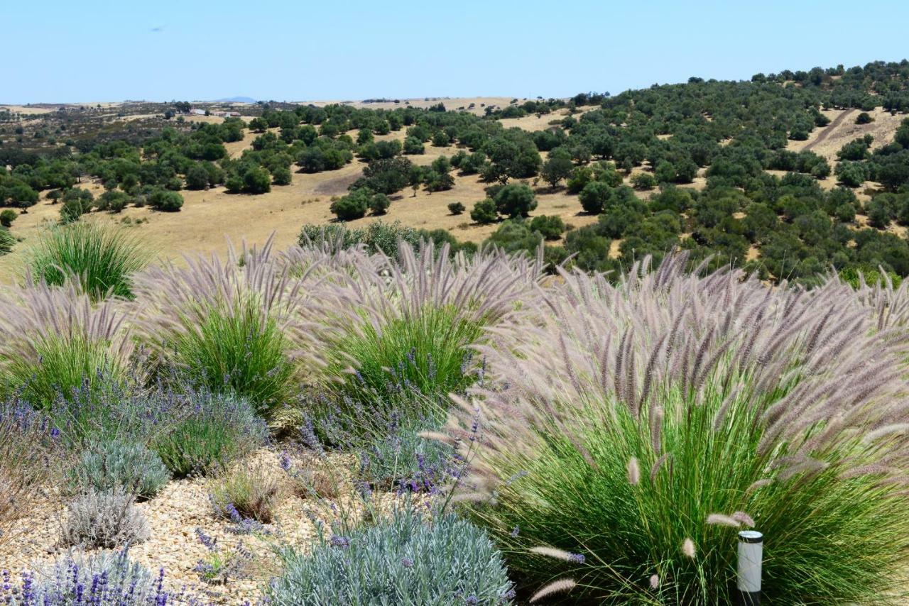 Vistas - Herdade Do Zambujal Кастро Верде Екстериор снимка